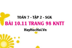 Bài 10.11 trang 98 Toán 7 Tập 2 Kết nối tri thức
